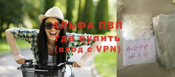 стафф Новокубанск