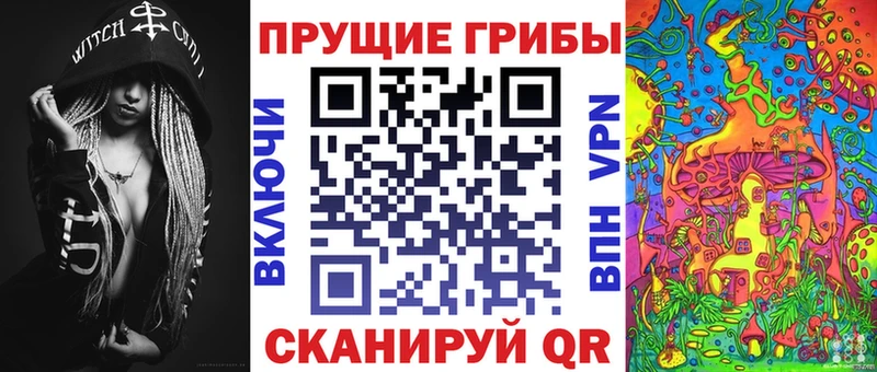 ссылка на мегу зеркало цена Хвалынск Галлюциногенные грибы Psilocybine cubensis